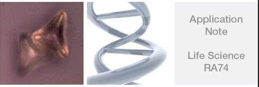 根據形狀與化學特性鑑定和分析氣體過敏原 Identification and characterization of aeroallergens based on morphological(RA74 - 拉曼光譜儀, 顯微拉曼光譜儀, Raman spectroscopy, Optical microscopy, Particle Size Analysis, Aeroallergens