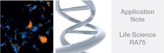 拉曼光譜儀, 顯微拉曼光譜儀, raman spectroscopy, LabRAM, Raman microscopy, polymorphisms, pharmaceuticals, carbam