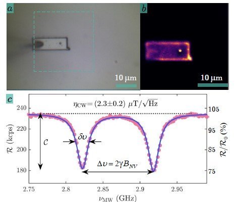 使用Qnami ProteusQ成像BiFeO3中的抗鐵磁旋轉環體 Imaging antiferromagnetic spin cycloids in bismuth ferrite(BiFeO3) - antiferromagnets, multiferroics, weak ferromagnets